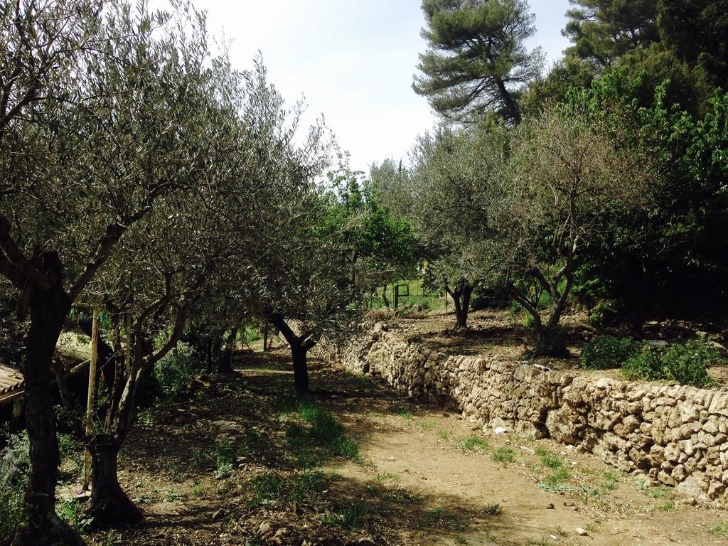 Gites Du Raby Signes Exterior foto